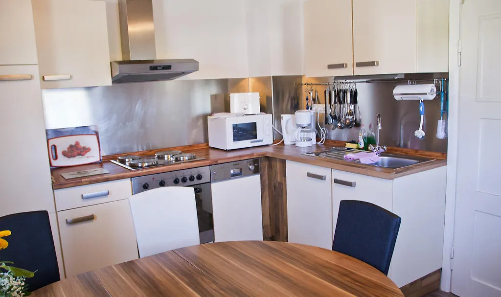 Dirnbergermuhle Villa Munchsmunster Holiday home